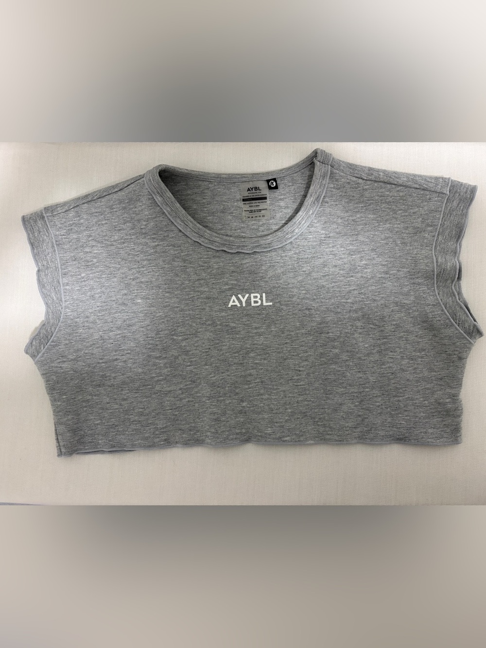 AYBL Light Grey Cropped Crewneck Tee with Center Logo